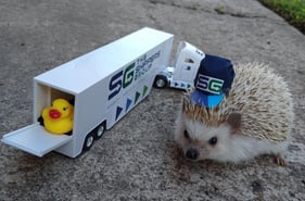 Haku Hedgehog