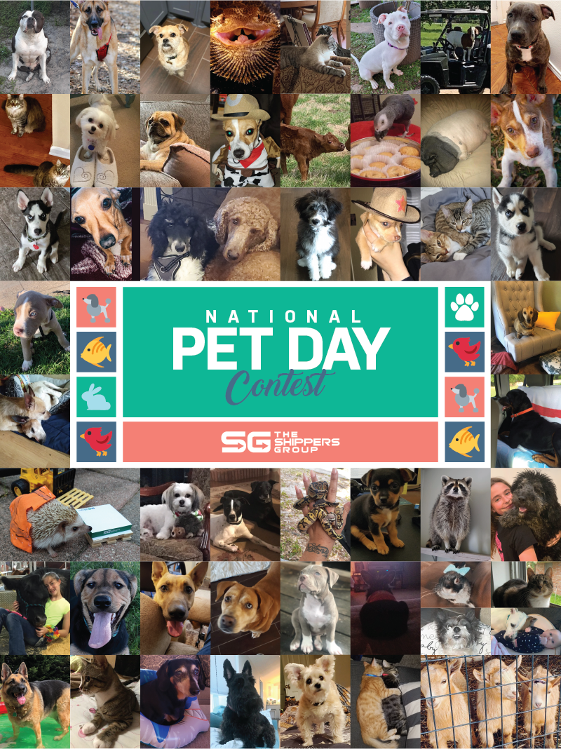 TSG Pet Day Contest Entry Collage