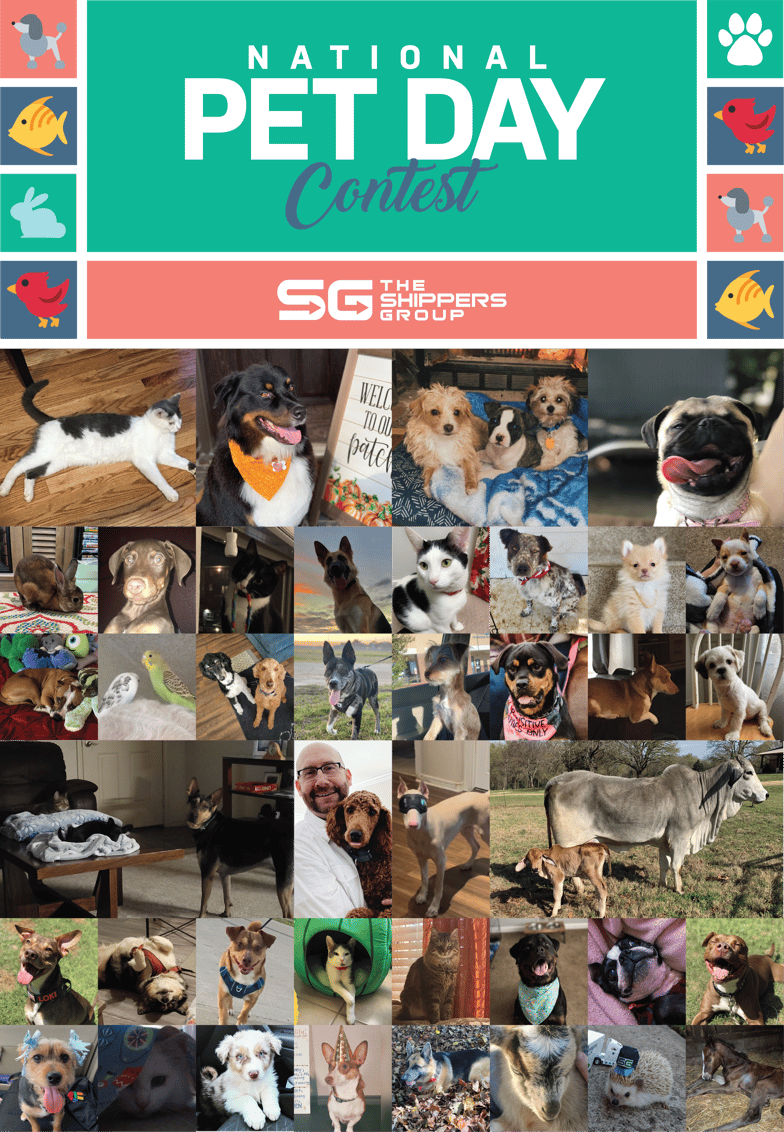 TSG Pet Day Collage 2022 3rd annual