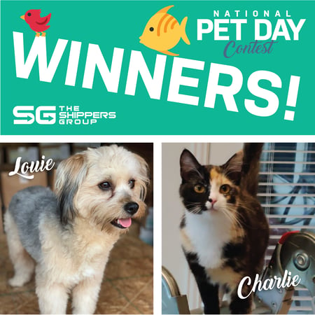 The Shippers Group Holds National Pet Day Contest